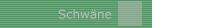 Schwäne